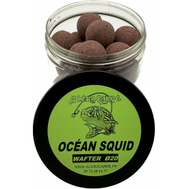 Wafter Océan Squid