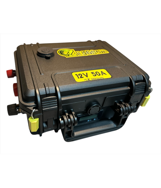 LiFePO4 12V 50Ah