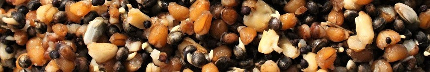 Graines et Pellets